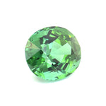 22.53 cts Natural Gemstone Mint Green Tourmaline - Oval Shape - 23443RGT