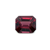 https://jumpshare.com/embed/9EbZLpX244N5NGPyeTUL?hideTitle=true" frameborder="0"