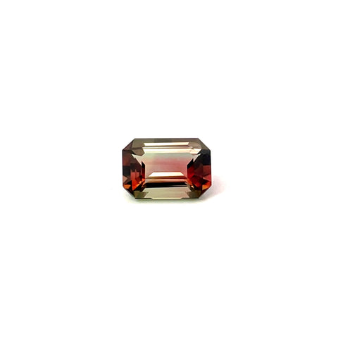 1.00cts Natural Gemstone Bi - Color Tourmaline - Octagon Shape - 25014RGT