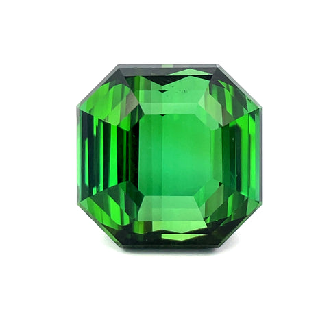 30.80 cts Natural Gemstone Green Tourmaline - Octagon Shape - P48055